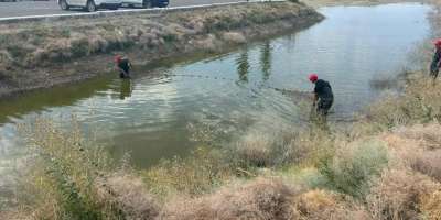 Colman Domingo and Jude Law at amfAR’s Venice Gala