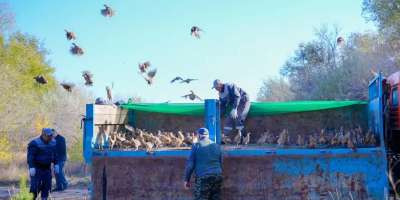 Colman Domingo and Jude Law at amfAR’s Venice Gala