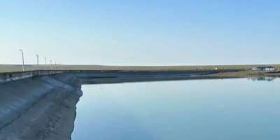 Colman Domingo and Jude Law at amfAR’s Venice Gala