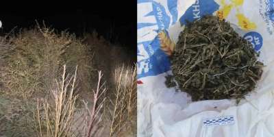 Colman Domingo and Jude Law at amfAR’s Venice Gala