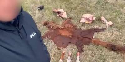 Colman Domingo and Jude Law at amfAR’s Venice Gala