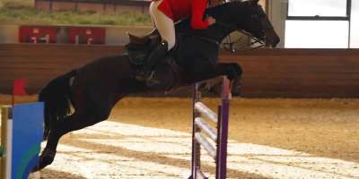 Colman Domingo and Jude Law at amfAR’s Venice Gala