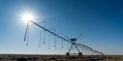 Colman Domingo and Jude Law at amfAR’s Venice Gala