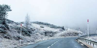 Colman Domingo and Jude Law at amfAR’s Venice Gala