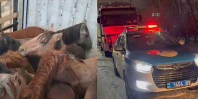 Colman Domingo and Jude Law at amfAR’s Venice Gala