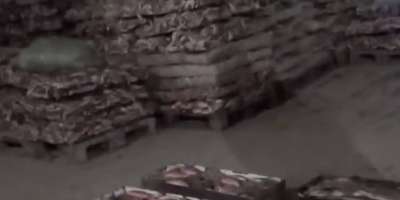 Colman Domingo and Jude Law at amfAR’s Venice Gala