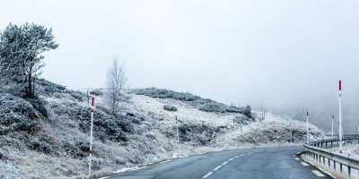 Colman Domingo and Jude Law at amfAR’s Venice Gala