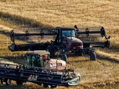 Қазақстан өзін азық-түлік тауарларының негізгі түрлерімен толық қамтамасыз етеді – министр