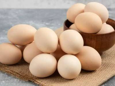 Елімізде жұмыртқаны терең өңдейтін зауыт салынады