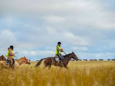«Ұлы дала жорығы» марафон-бәйгесінің жеңімпазы анықталды