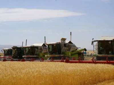 Қазақстанда ауыл шаруашылығы санағының офлайн кезеңі басталады