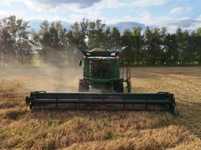 Қазақстанда 5,9 млн тонна астық жиналды