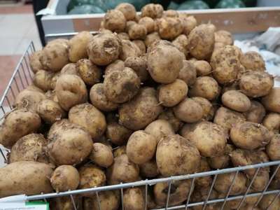 Сарыағашта тұрып қалған 42 вагон картопқа қатысты министрлік өкілдері пікір білдірді