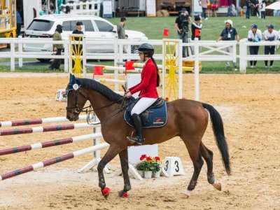 Астаналық ару халықаралық ат спорты кубогында алтын медаль иеленді
