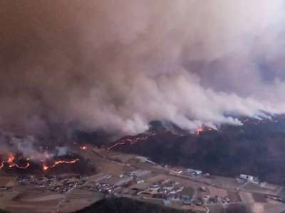 Кореяда орманды қасақана өртеген күдікті ұсталды