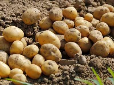 Әлеуметтік маңызы бар азық-түлік тауарларының бағалары өзгерді