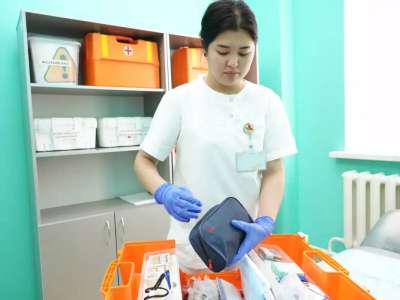 12 мамыр – Халықаралық мейіргер күні