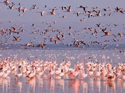 Қазақстанда туристер ең аз баратын ТОП-5 ерекше бағыт