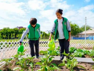 Астанада мектеп жанында ландшафтық бақ ашылды
