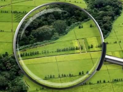 Жетісу облысында 100 миллион теңгенің жері мемлекет меншігіне қайтарылды