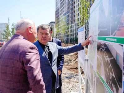 Сығанақ көшесі мен Қабанбай батыр даңғылында 7500 ағаш отырғызылады