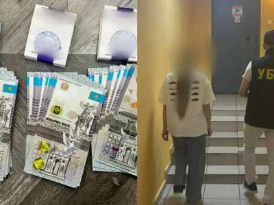 Павлодарда бүйрегін сатпақ болған шетелдік әйел ұсталды