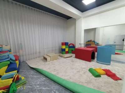 Ерекше балаларға арналған психологиялық-педагогикалық түзету орталықтарының саны артты