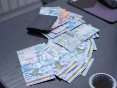 Елімізде әлеуметтік төлемдерді  көбейтіп алғандарға қатысты қылмыстық іс қозғалды