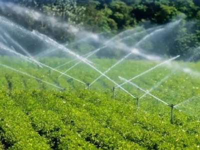 Биыл оңтүстіктегі диқандарға су былтырғыдан 335 млн текше метрге артық берілді