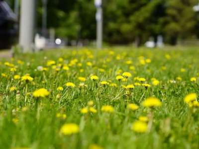Маусым айында ауа райы қандай болады