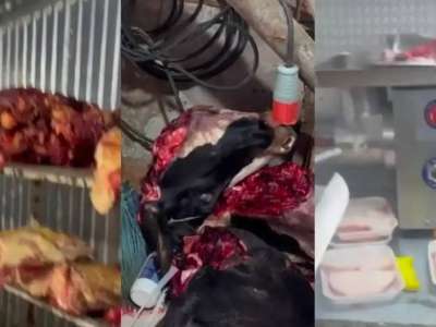 Елордада жасырын ет цехтары анықталды