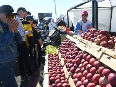 Астанада мереке қарсаңында қалалық ауыл шаруашылығы жәрмеңкесі өтеді