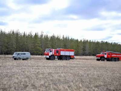 Абай облысындағы өрттен 400 гектар орман алқабы жанып кеткен