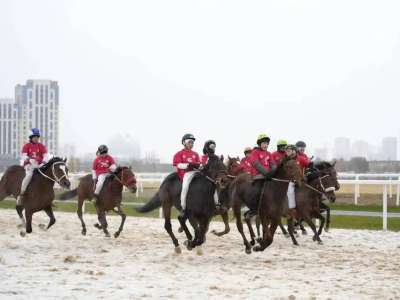 2024 жылы ат спортында қандай жетістіктер тіркелді