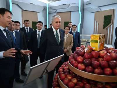 Тоқаев Түркістан облысындағы ауыл шаруашылығы өнімдерінің көрмесін аралады
