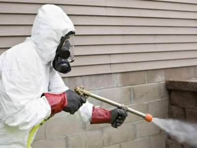 Елордада дератизация жұмысы екі маусымда жүргізіледі