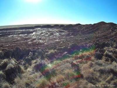 Қостанай облысында компания алтынды заңсыз өндірген