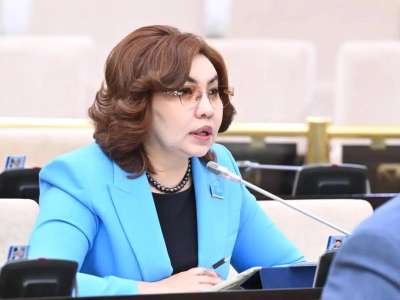 Сенатор мәслихаттардың тиімділігін арттыру шараларын ұсынды