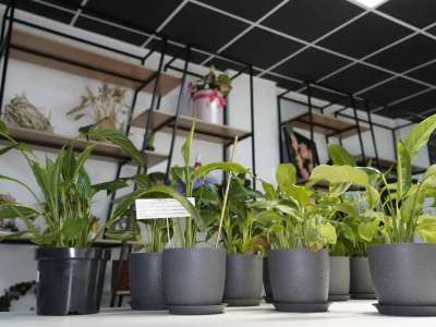 Жұмысшы мамандықтар жылы: Елордалық колледжде болашақ флористер даярланады