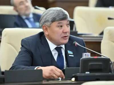 Мәжіліс депутаты TikTok желісін бұғаттауды ұсынды