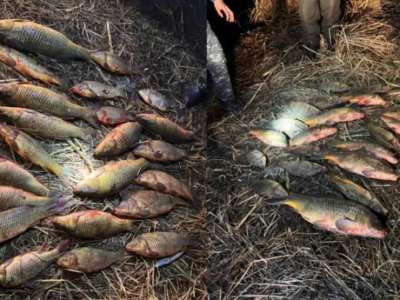 Атырауда 70 келіден астам заңсыз ауланған балық тәркіленді