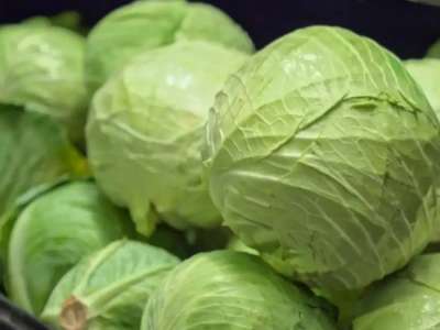 Шекарада ерте пісетін көкөністерге арналған «жасыл дәліз» ашылады