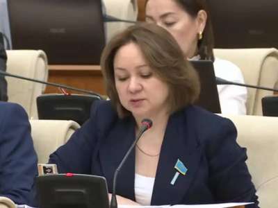 Сот орындаушы өзіне пайда әкелетін құжаттарды ғана орындауға тырысады – Снежанна Имашева