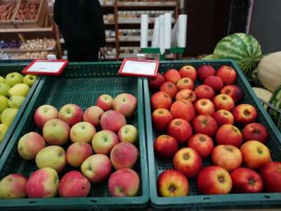 Елордада 8-9 ақпанда ауыл шаруашылығы жәрмеңкесі өтеді