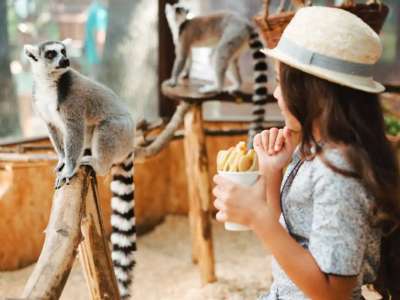 Алматы зообағы жаңа Алатау қаласына көшіріледі