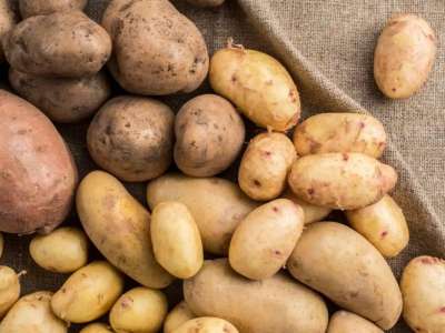 Астанада картоп жетіспеушілігі жоқ – басқарма