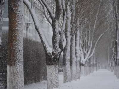 Ауа райына байланысты 14 өңірде дауылды ескерту жарияланды
