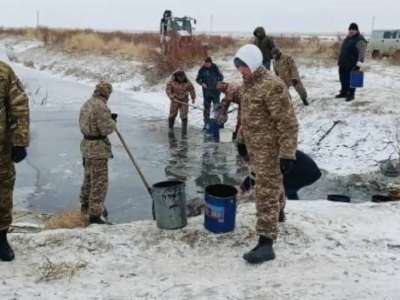 Атырау облысында 8,5 млн шабақ құтқарылды