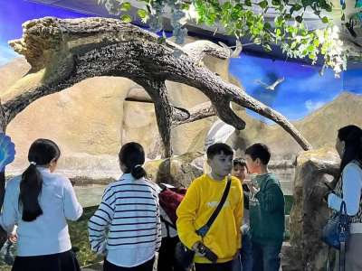 Астаналық оқушылар теңіз әлеміне саяхат жасады