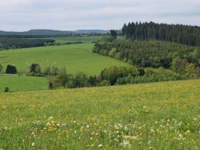 Биыл 2 млн гектардан астам жер мемлекеттік меншікке қайтарылды